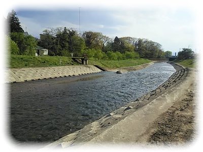 _DSC_0297.jpg
