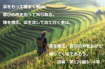 agriculture.jpg