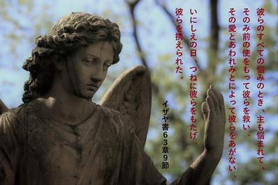 angel2021.jpg
