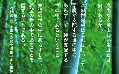 bamboo.jpg