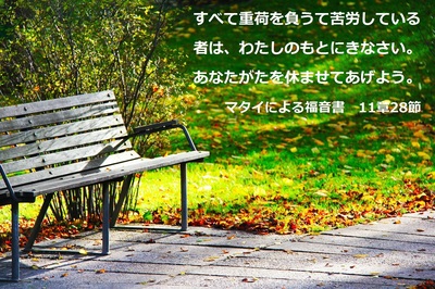 bench.jpg