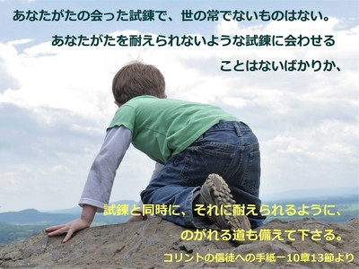 child-395918.jpg