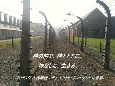 concentration-camp.jpg