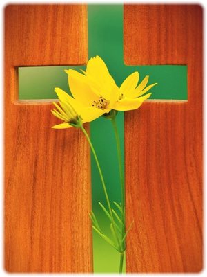 cross.jpg