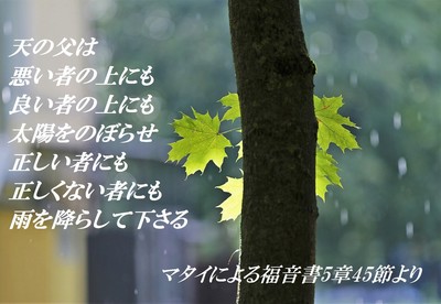 rain-201805.jpg