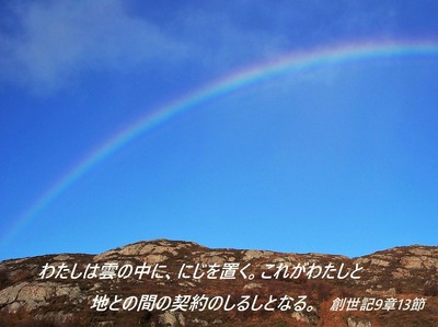 rainbow201811.jpg
