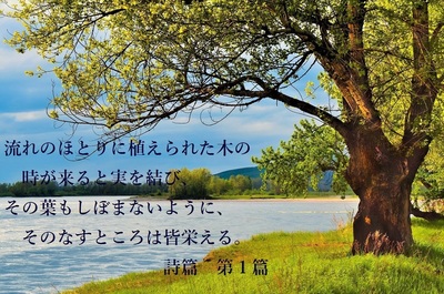river.jpg