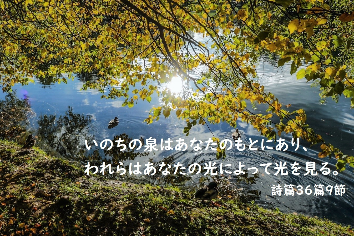 いのちの泉はあなたのもとに あなたの光によって光を見る 日本キリスト教団 会津若松教会 信徒のブログ