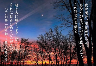 sunrise.jpg
