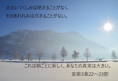 winter.jpg